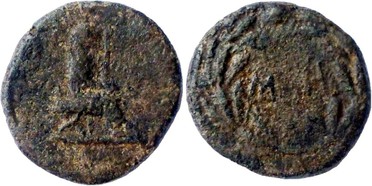 ������: 425-4492