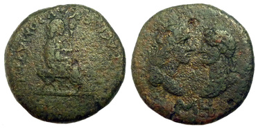 ������: 426-4478