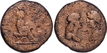 ������: 426-4478