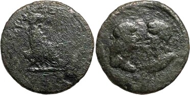 ������: 426-4478