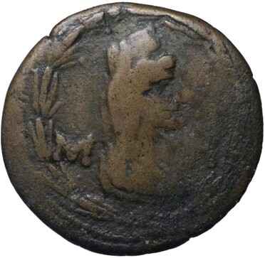 ������: 433-5193