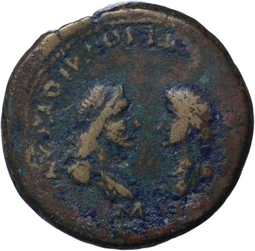 ������: 441-5295