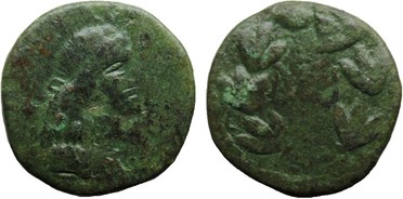 ������: 443-4536