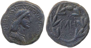 ������: 443-4536