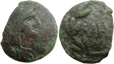 ������: 443-4536