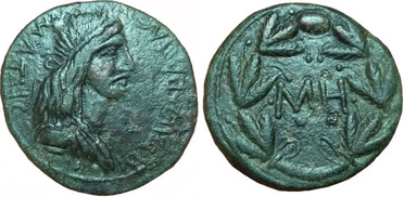 ������: 443-4536