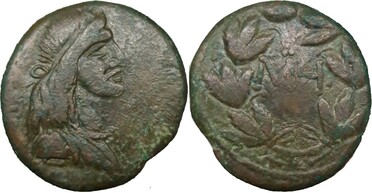 ������: 443-4536