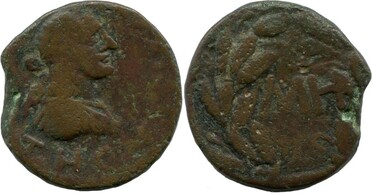 ������: 445-4498