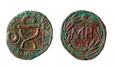 ������: 450-4411