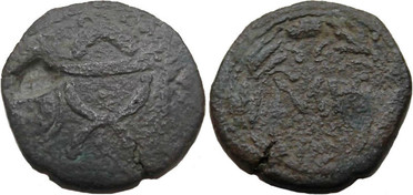 ������: 450-4411