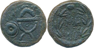 ������: 450-4411