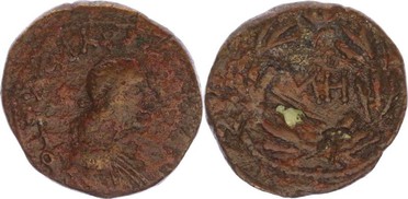 ������: 454-4173