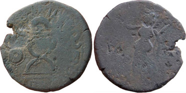 ������: 455-4617