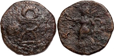 ������: 455-4617