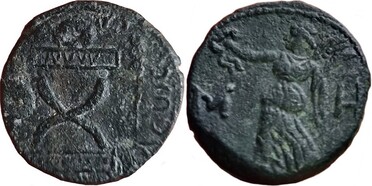 ������: 455-4617