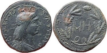 ������: 463-4628