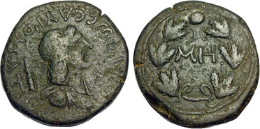 ������: 466-4494