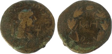 ������: 466-4494