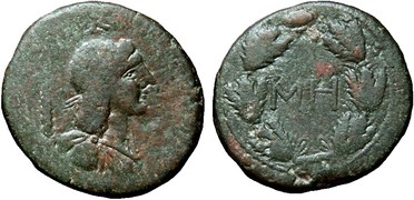 ������: 466-4494