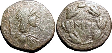 ������: 466-4494