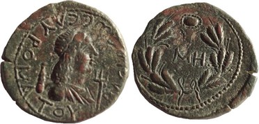 ������: 466-4494