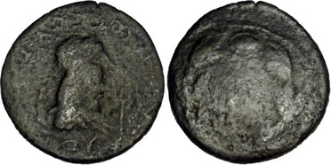 ������: 466-4494