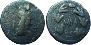 ������: 466-4494