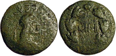 ������: 466-4494