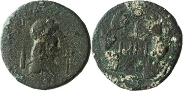 ������: 466-4494