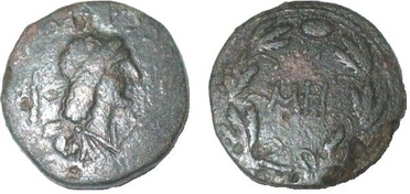 ������: 466-4494