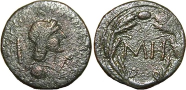 ������: 466-4494