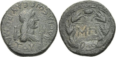 ������: 466-4494