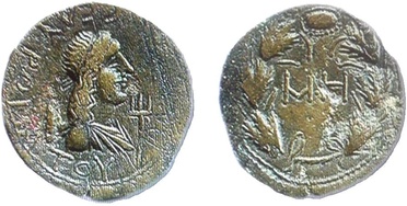 ������: 466-4494