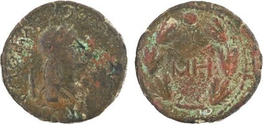 ������: 466-4494