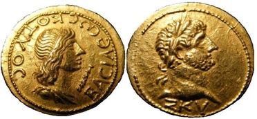 ������: 477-4363