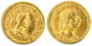 ������: 477-4445