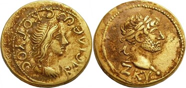 ������: 477-4445