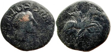 ������: 491-4513