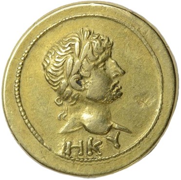 ������: 502-4206