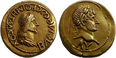 ������: 504-4560