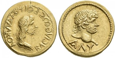 ������: 505-4222