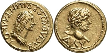 ������: 505-4222