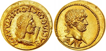 ������: 505-4313