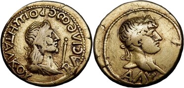 ������: 505-4313