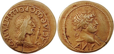 ������: 505-4313