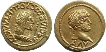 ������: 505-4313