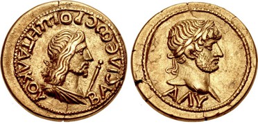 ������: 505-4313