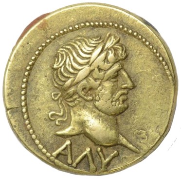 ������: 505-4313