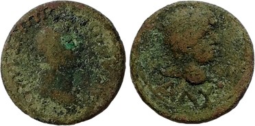 ������: 505-5161