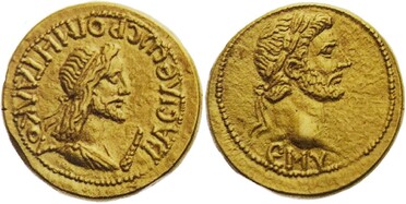 ������: 513-4293